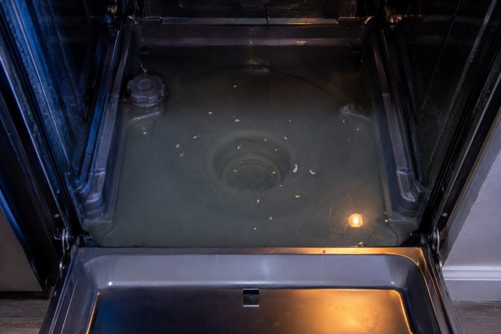 Two inches of gray water in the tub floor with the round filter well submerged and grains of food circling above it. The filter under the water is exactly where this page sends the reader first.